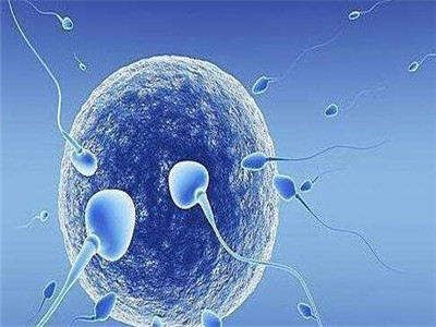 代怀生子机构